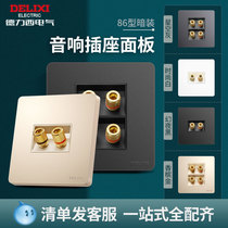 De Force Champagne Golden Two Holes Four Holes Home Theater Sound KTV Audio Line 2 Holes Wall 86 Socket Panel