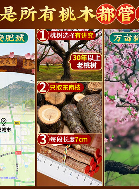 桃木枝七根真老桃树枝桃木东南枝