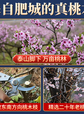野生老桃木枝宝宝挂件棍枝条挂件