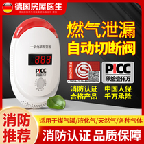 Gas leakage alarm Commercial hotel Catering Home Kitchen Coal Gas Leak Alarm Gas Alarm