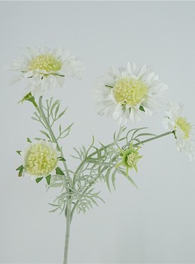 仿真花轮峰菊家居装饰插花摆件旅拍道具挂墙花艺设计婚庆花松虫草