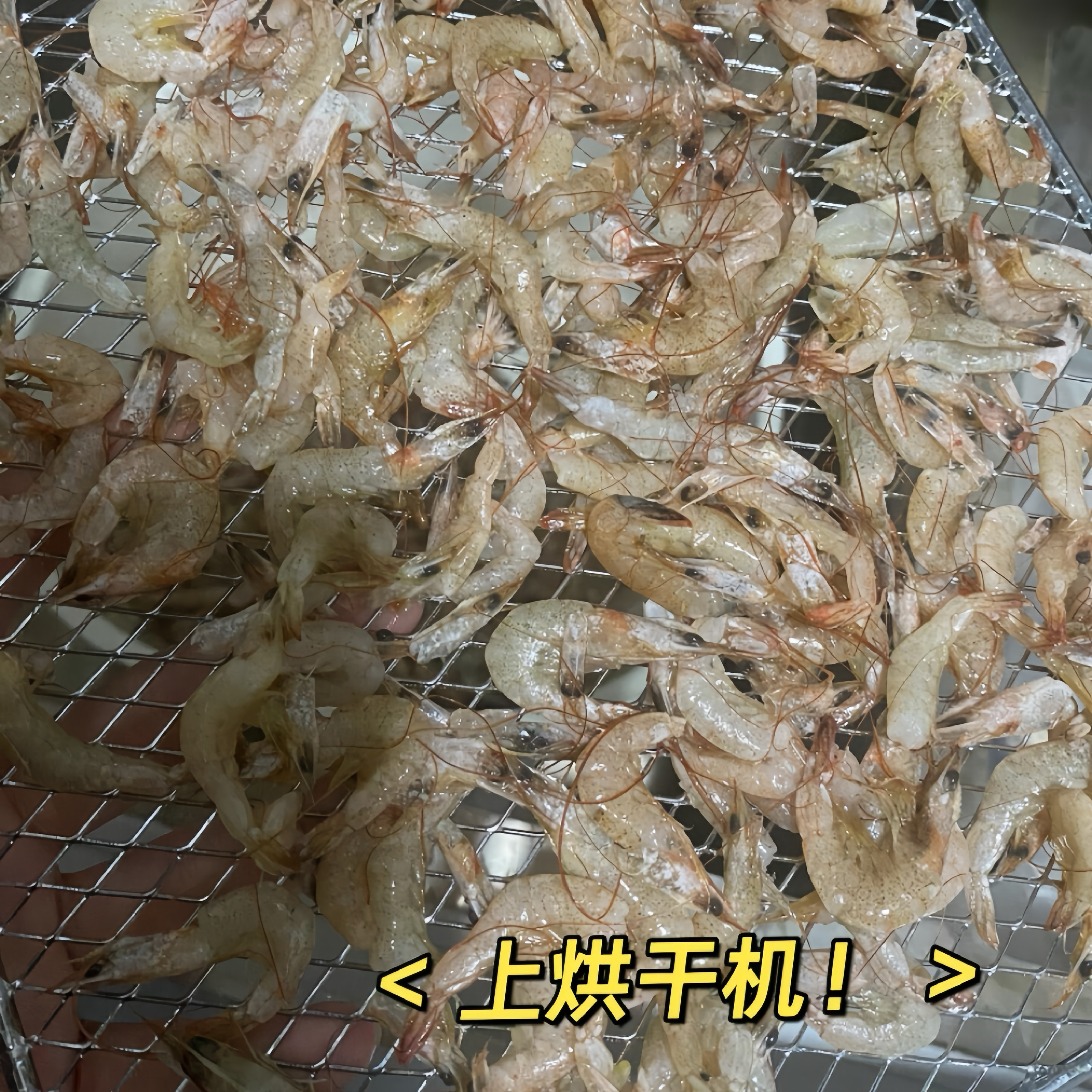 鲜烘焙仓鼠淡水虾干散装鱼干金丝熊零食花枝鼠增肥乌龟饲料自配粮,淘宝优惠券,粉丝福利购,淘宝优惠卷