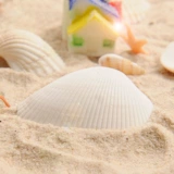 螃蟹王国 Пляжный ландшафтный расходной модель рыбная аквариум микроамблема пластиковая улитка снаряд Zhuhai Star White Shell