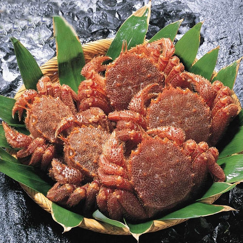 北海道红毛蟹鲜活 野生海鲜 俄罗斯进口非日小红毛蟹 3斤起包邮 - 图1