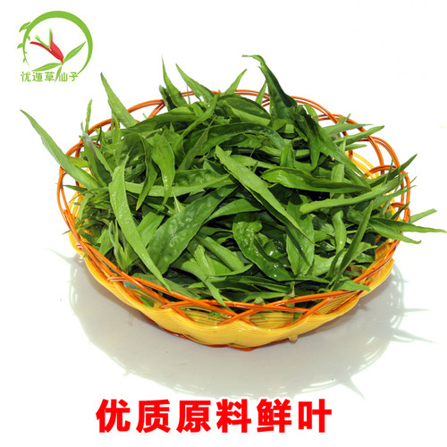 三亨堂特级精品忧遁草干叶海南五指山优顿草茶黎王草茶优盾草茶叶 - 图3