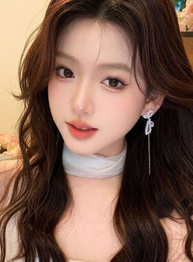 精致法式蝴蝶结耳环女轻奢高级感气质耳钉小众设计长款流苏耳饰