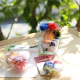 Японская оригинальная импортная игрушка, новая коллекция, 12 упаковки