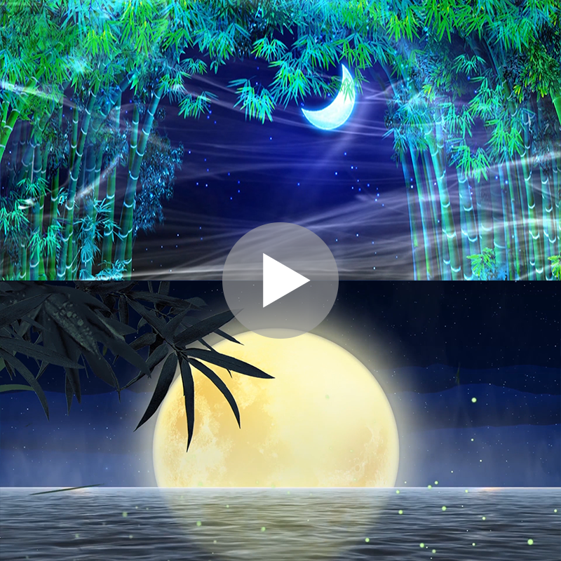 月光下的凤尾竹C调降B葫芦丝伴奏演出舞蹈led高清背景视频素材,淘宝优惠券,粉丝福利购,淘宝优惠卷