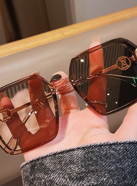 Viney太阳镜女新款2024墨