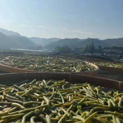 皖南池州特产脱水农家自制干豆角 干豇豆干货长豇豆250g - 图2
