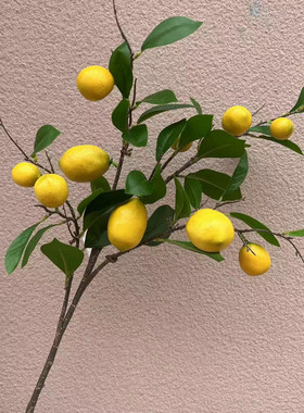新款高仿真单支长杆黄色柠檬果子插花简约客厅玄关餐桌花瓶装饰假