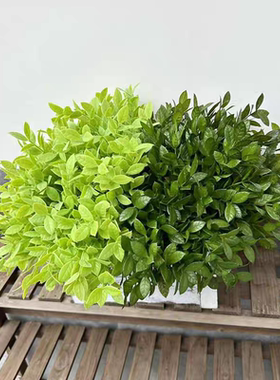 仿真瓜子叶榕树叶婚庆绿植造景配材餐桌塑料花盆栽插花假花摆件
