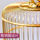 Fujian Cage Местная золотая версия клетки из нержавеющей стали