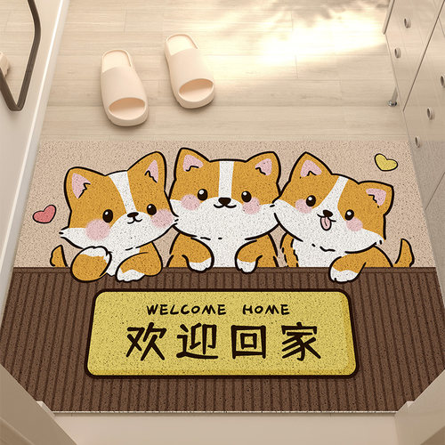 入户门地垫丝圈玄关进门口门垫耐脏免洗可裁剪免打理防滑脚垫地毯 - 图2
