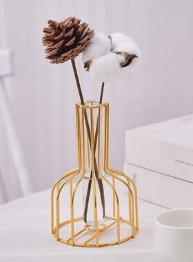 北欧网红铁艺水培小花瓶