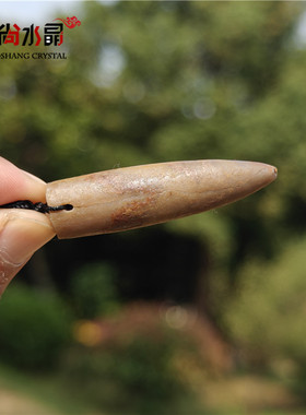 原创设计天然箭石吊坠白垩纪海洋生物化石项链男女同款复古毛衣链