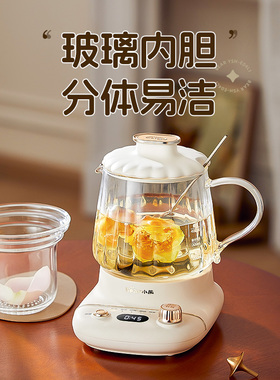 全玻璃mini养生壶一人精致养生杯