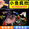 Sales No. 1 frozen brine shrimp larvae starter food