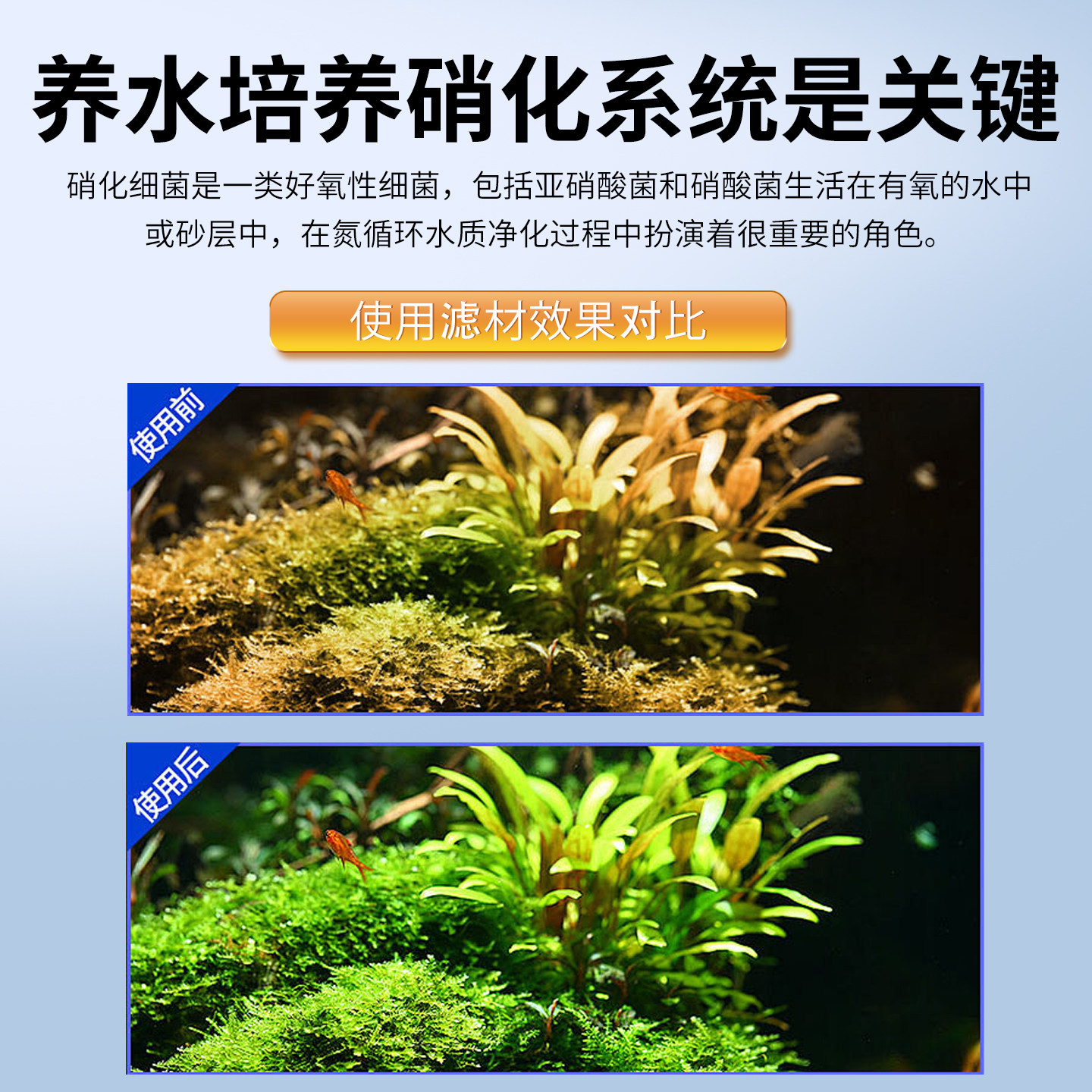 鱼缸过滤材料鱼缸火山石珊瑚骨陶瓷环细菌屋活性炭生化纳米球滤材,淘宝优惠券,粉丝福利购,淘宝优惠卷