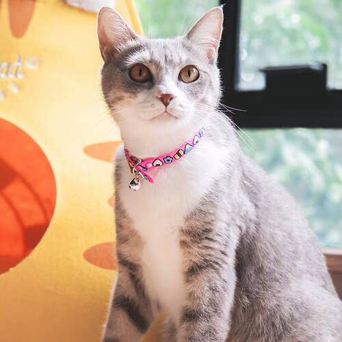 Touchcat它它溜猫绳猫脖圈项圈带铃铛可爱日本小型犬狗颈圈防逃脱 - 图3