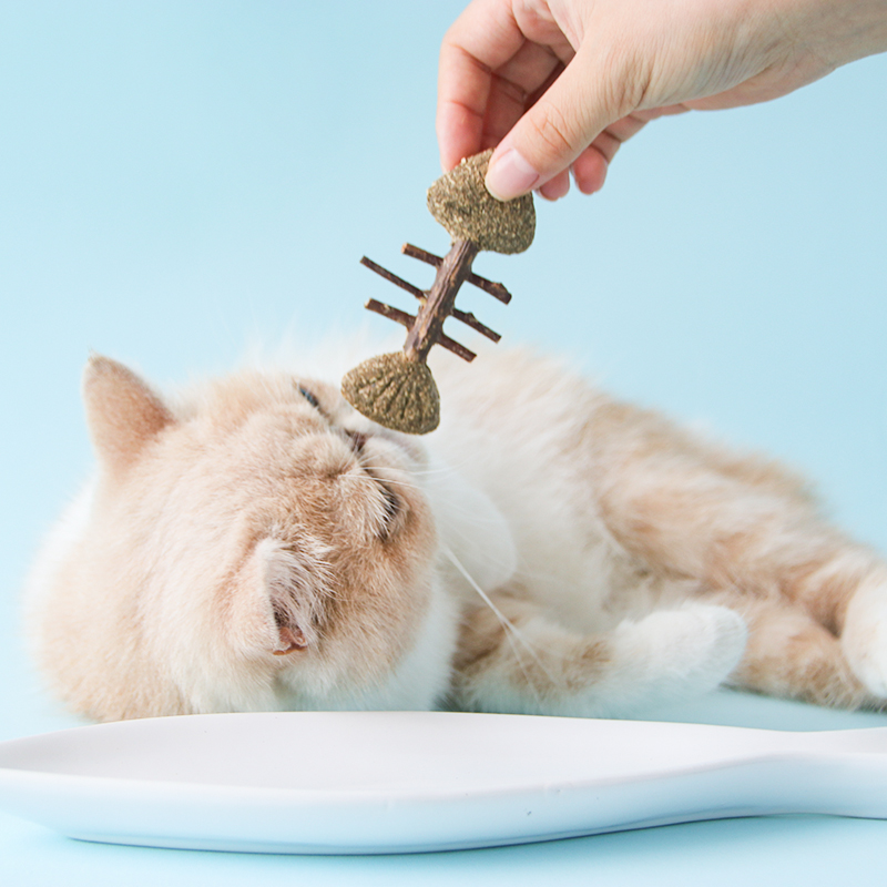 bbq爱宠/宠物猫玩具 木天蓼洁齿磨牙猫薄荷 鼠老大鱼二胖鱼骨糖果 - 图0