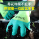 Gardening gloves are puncture-proof, waterproof, labor protection, work-wearing, floral gloves, garden-proof, puncture-proof, planting and weeding special