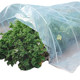 Special plastic film for vegetable greenhouses to keep warm and cold-proof