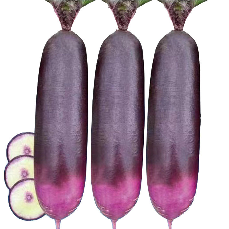 冰激凌水果萝卜种子种籽紫皮冰淇淋水果罗卜籽种菜种红蔬菜孑子,淘宝优惠券,粉丝福利购,淘宝优惠卷