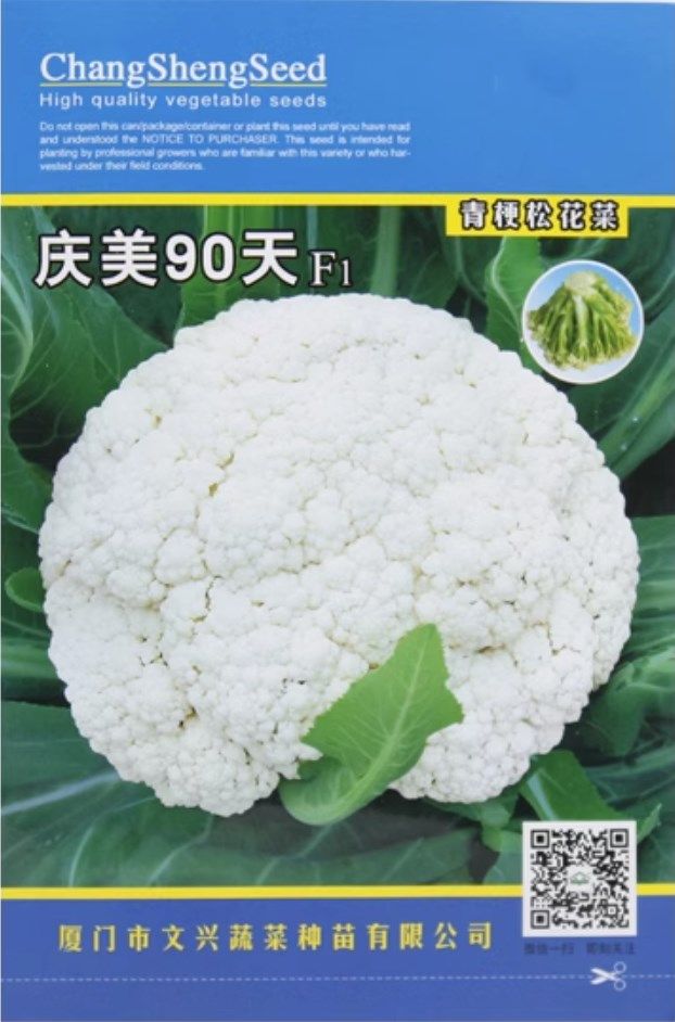 台湾庆美 青梗松花菜 种子种籽孑耐热花菜菜花松散55/65/70/90天