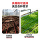 Vegetable greenhouse floor heating and air heating for seedling cultivation