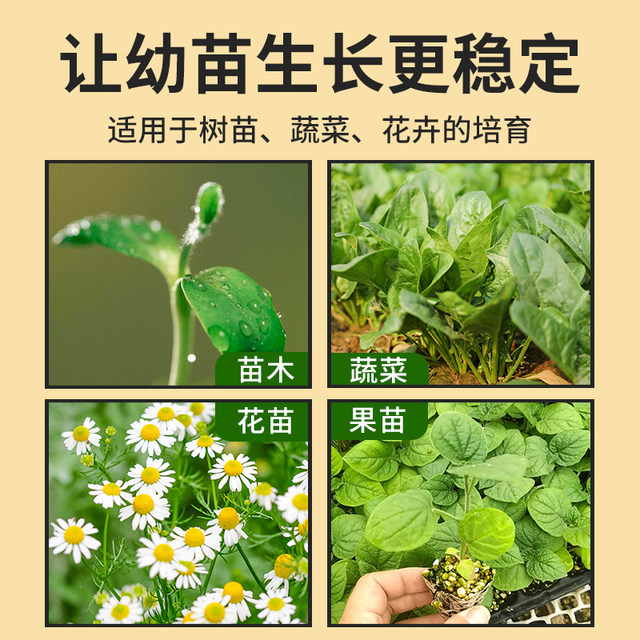 Seedling protection cover reusable vegetable special square plant seedling protection cover seedlings to prevent cold, birds and insects