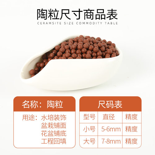 大号陶粒水培植物花用垫底铺面石鱼缸底砂造景多肉养花专用种花 - 图2