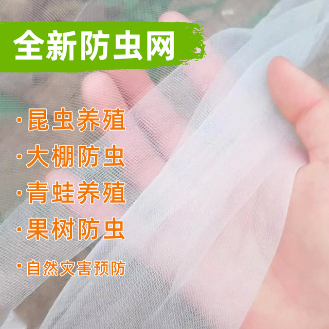 Shouguang vegetable insect-proof net 60 mesh bracket greenhouse special cover vegetable field fruit tree insect-proof gauze vegetable flower net cover