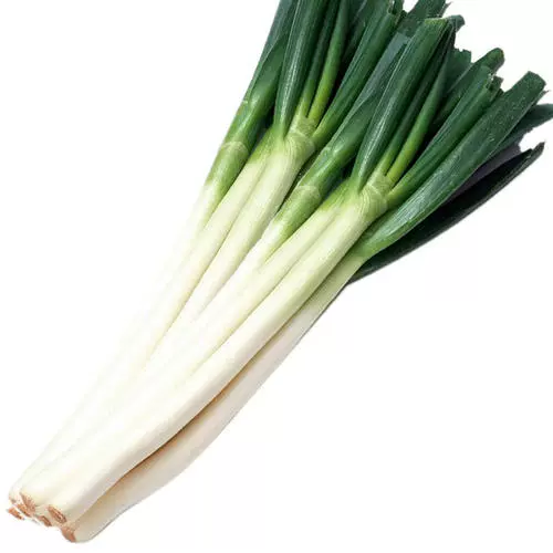 Семена зеленого лука Shandong Zhangqiu Железные стержни семена лука с высоким уровнем теплостойки для теплостойкого лука