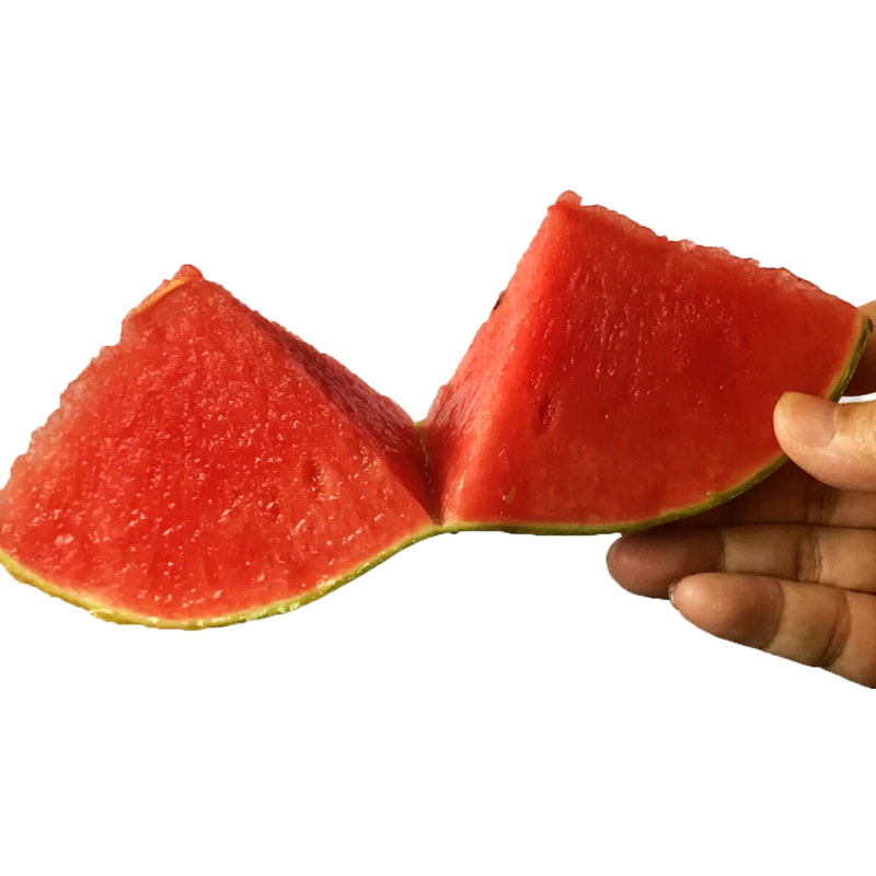 小糖丸西瓜种子种籽全美2k4k早熟薄皮超甜高产南方四季孑小型种植,淘宝优惠券,粉丝福利购,淘宝优惠卷