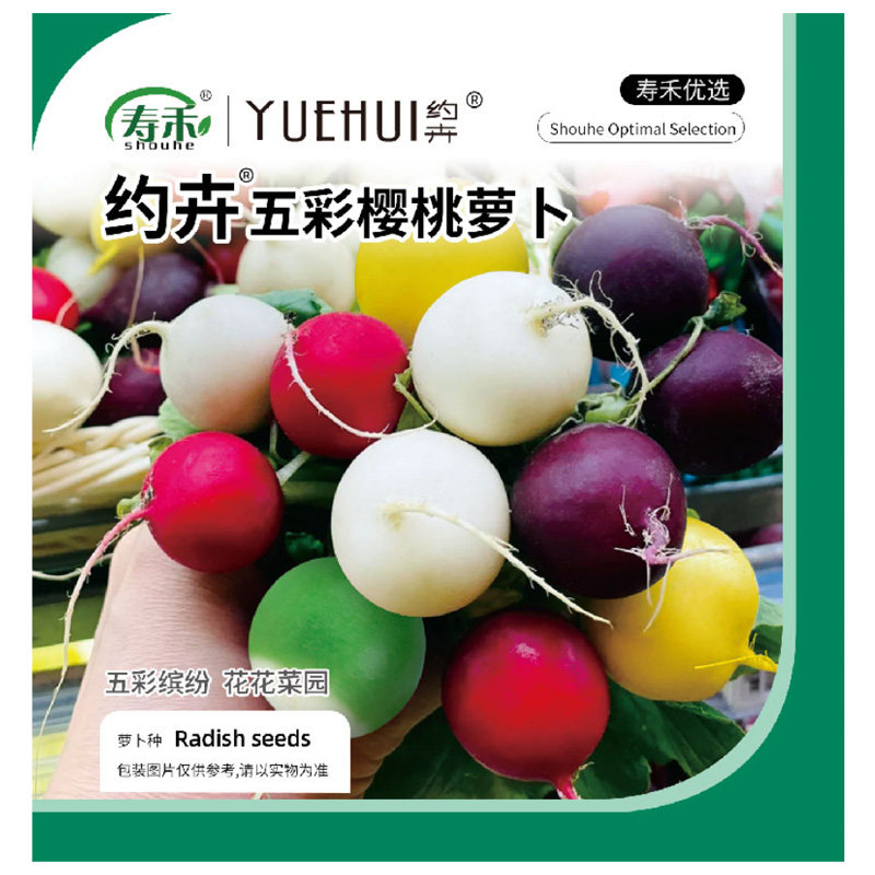 五彩樱桃萝卜种子菜籽阳台四季盆栽春季播秋季萝卜蔬菜种籽孑小红,淘宝优惠券,粉丝福利购,淘宝优惠卷