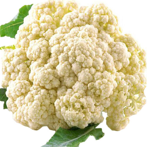 台湾青梗松花菜种子种籽秋后花菜菜花夏季秧苗孑秧四季蔬菜苗籽种 - 图3