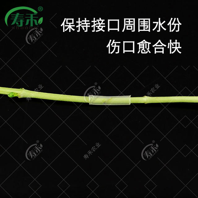Clip grafting grafting clip watermelon seedlings vegetables