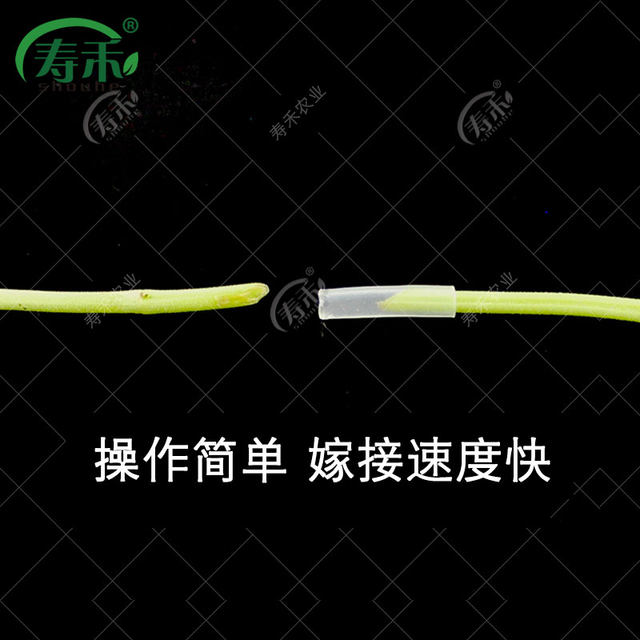 Clip grafting grafting clip watermelon seedlings vegetables