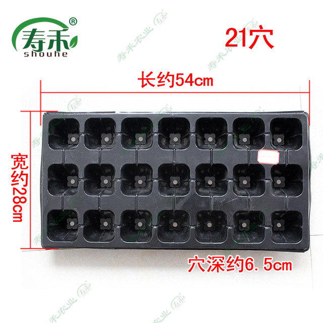 Succulent thickened nutritious pot seedling tray