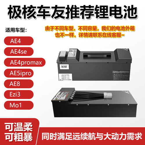极核AE4 AE4max AE5ipro ez3i AE7 AE8 MO1电摩通用锂电池 - 图0