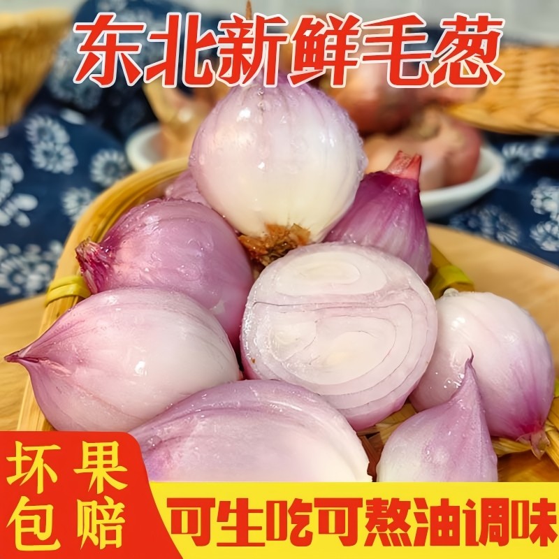 毛葱东北特产鬼子葱新鲜圆葱大红葱头农家笨洋葱小圆葱生吃干毛葱,淘宝优惠券,粉丝福利购,淘宝优惠卷