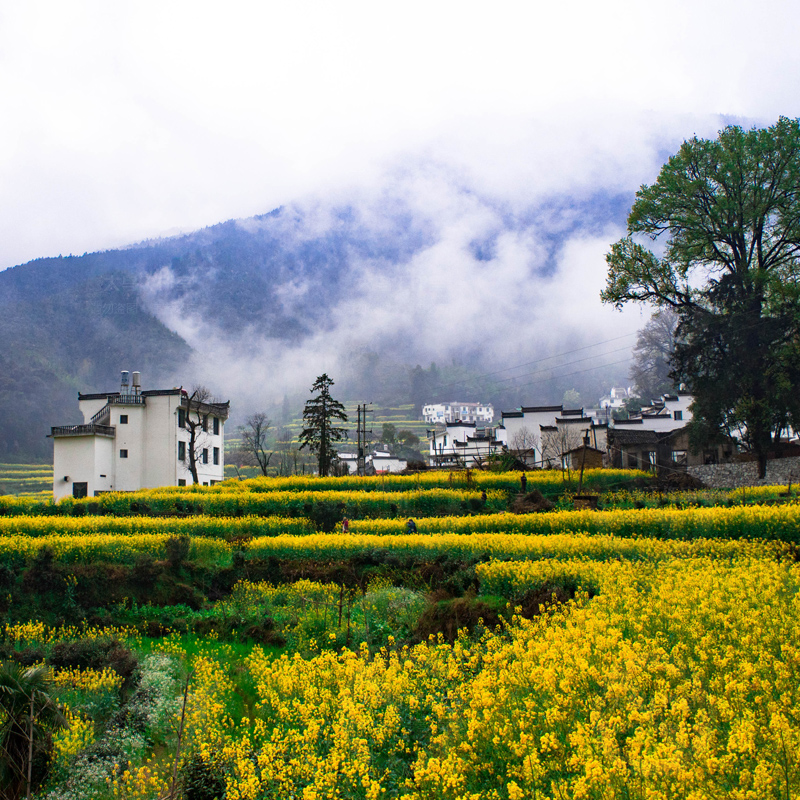 美丽的烟雾村庄素材大图雾锁山村烟雾缭绕炊烟乡村风景设计图片