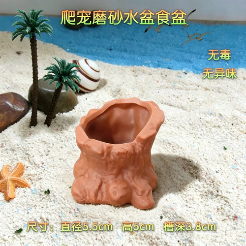 寄居蟹专用饮水喂食盆平稳不易翻深浅设计适配小蟹饲养省心好物 - 图3