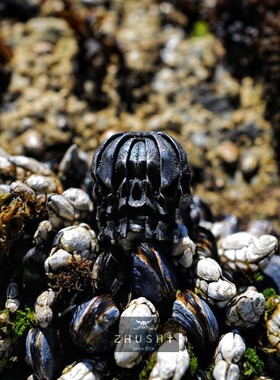 主师2026款出品纯银手工暗黑系喜怒哀乐戒指骷髅s925复古个性指环