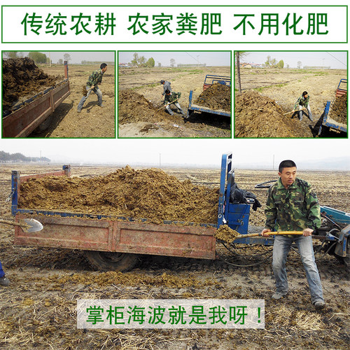 2025年新米五常大米原粮稻花香2号东北大米拉林河水粳米好米10斤 - 图3