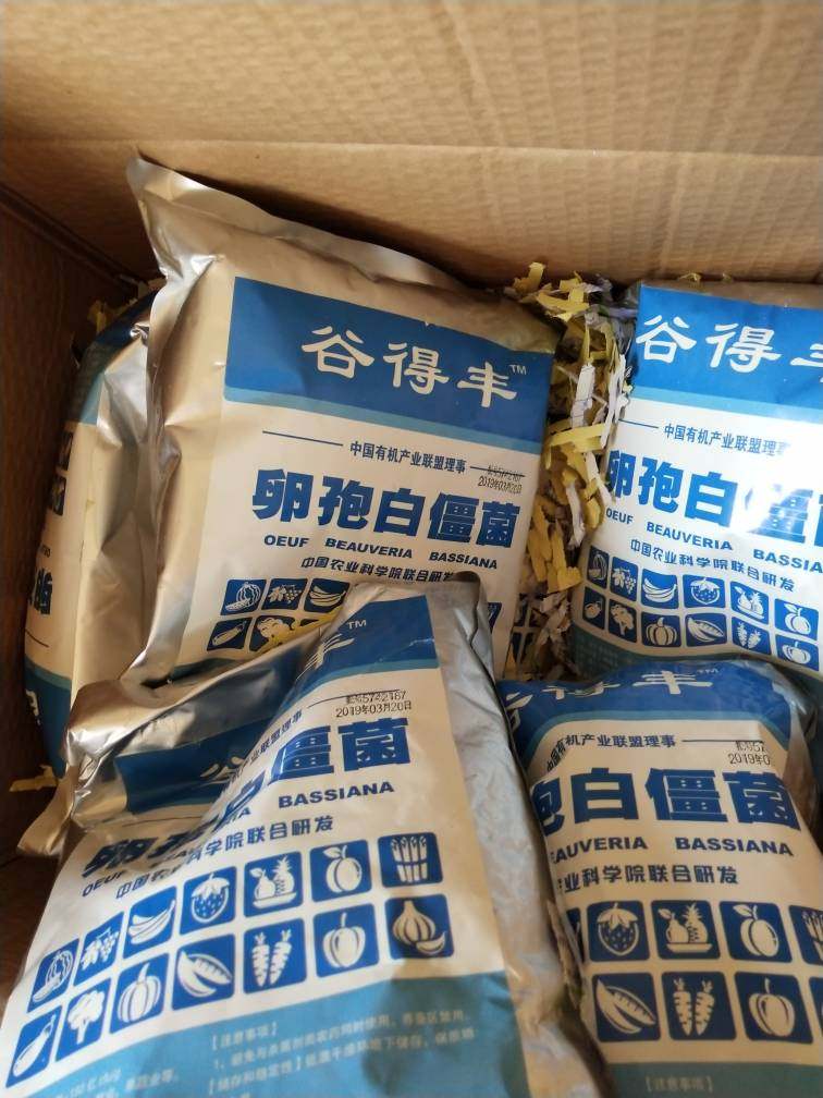 白僵菌绿僵菌 球孢布氏卵孢 农用微生物菌剂 地上地下害虫  广谱,淘宝优惠券,粉丝福利购,淘宝优惠卷