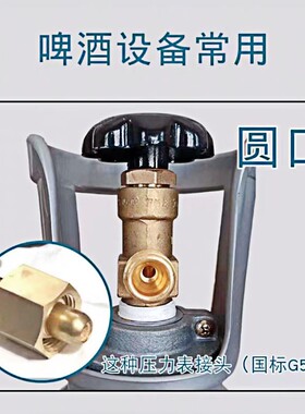 食品级啤酒机二氧化碳商