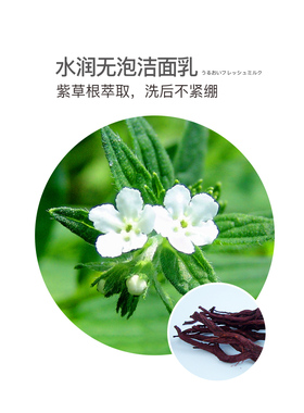 奥丽肤水润无泡洗面乳敏感肌