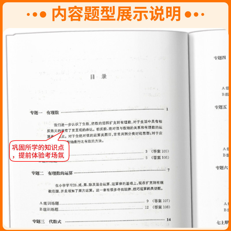 2026版 挑战压轴题 七年级八年级九年级数学 初中同步系列 同步压轴题精讲精练 7年级8年级9年级 马学斌主编 华东师范大学出版社